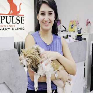 petpulse