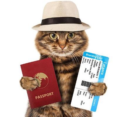 Pet Passport in the UAE