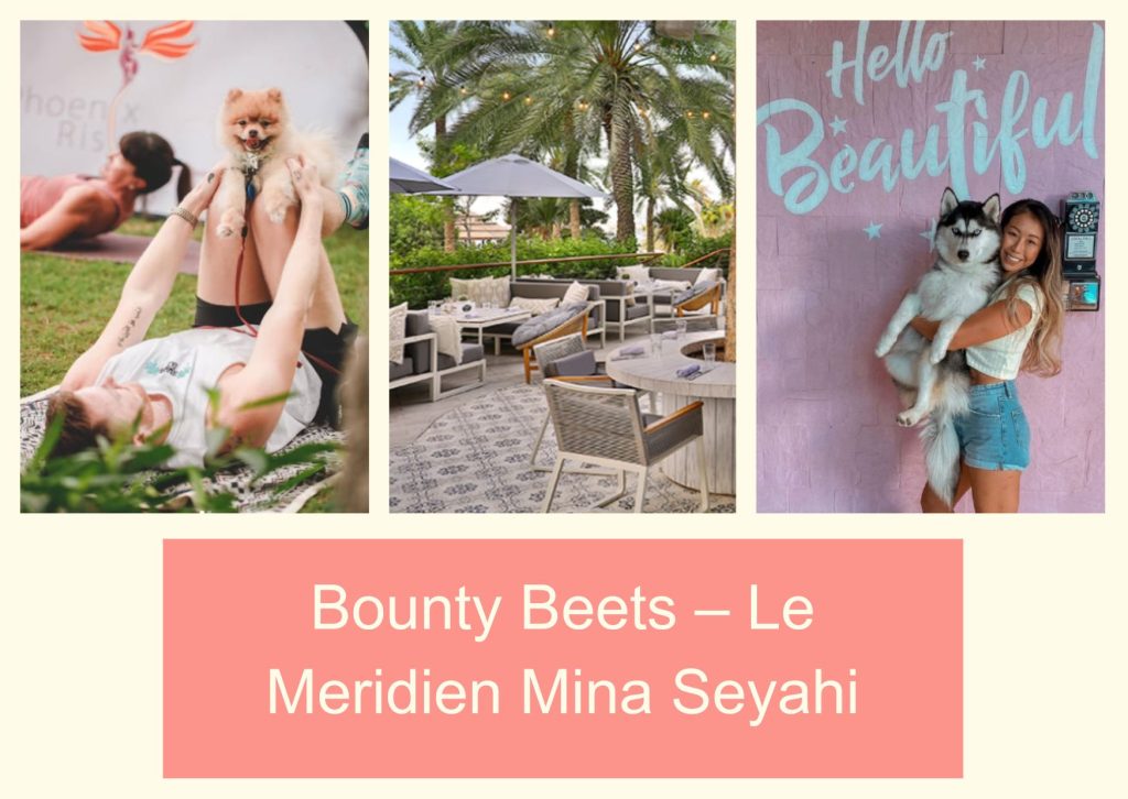 Bounty Beets
