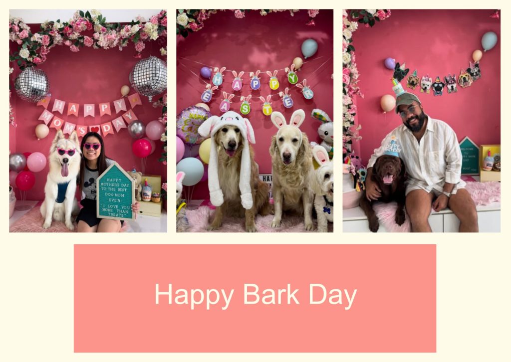 Happy Bark Day