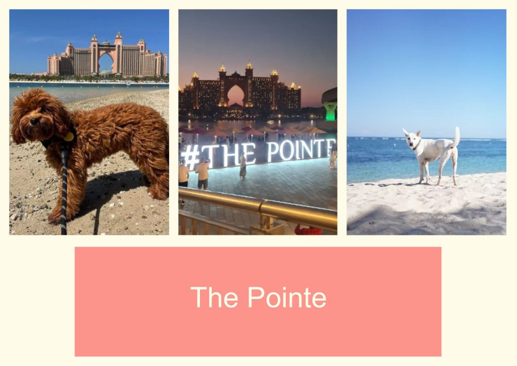 The Pointe