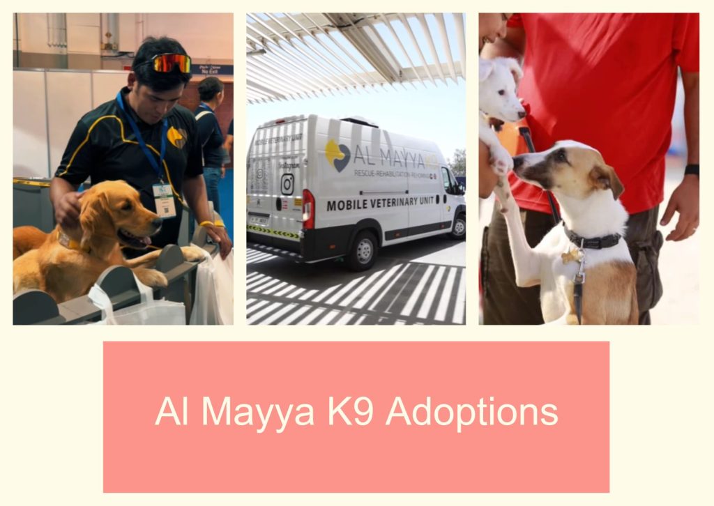 Al Mayya K9 Adoptions
