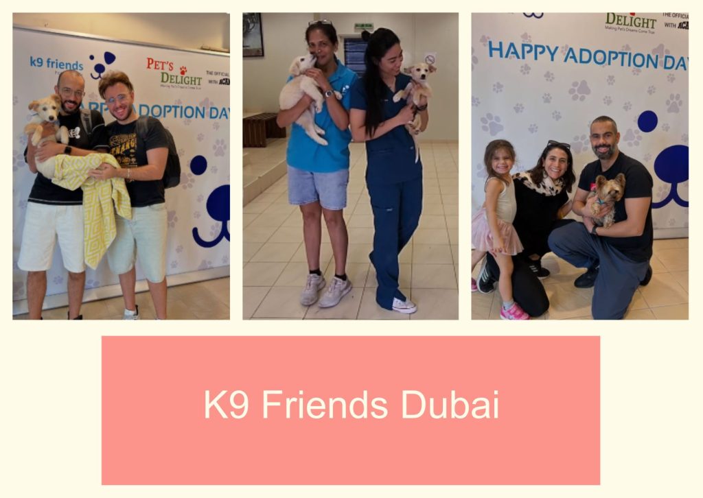 K9 Friends Dubai