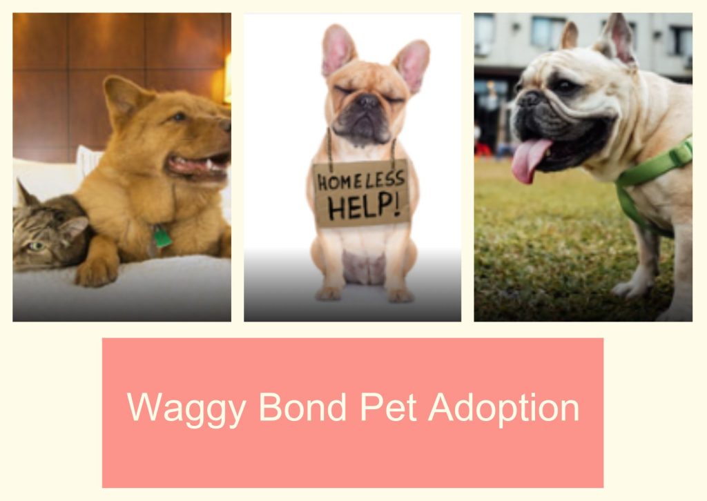 Waggy Bond Pet Adoption