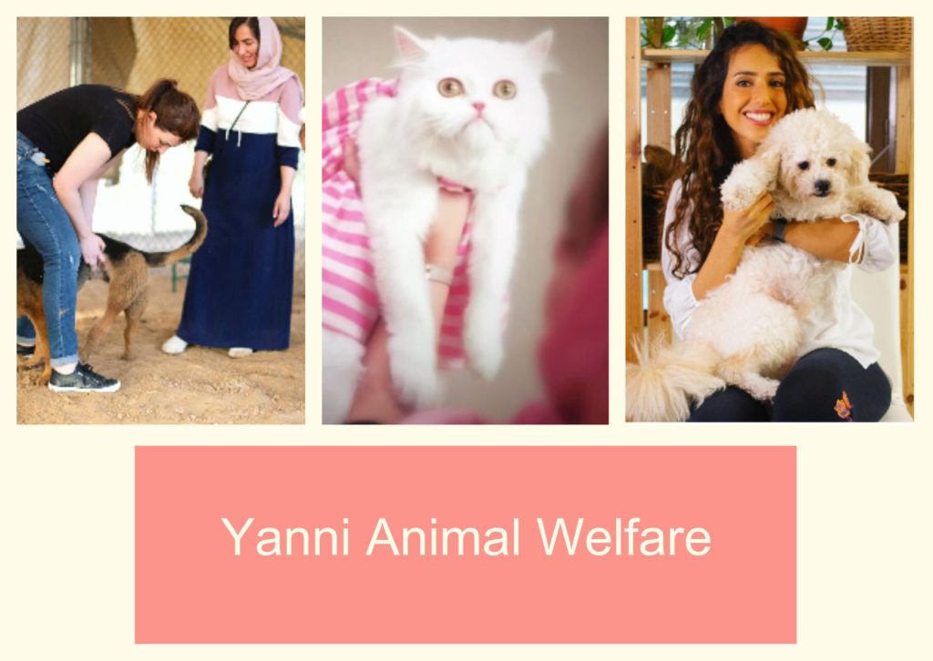 Yanni Animal Welfare
