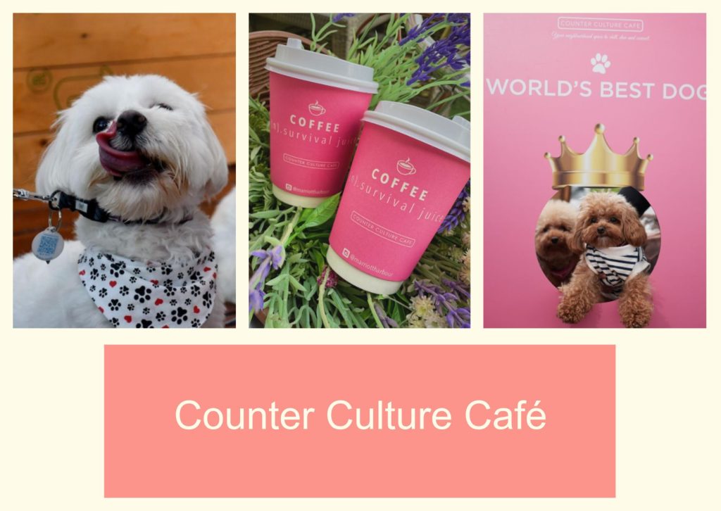 Counter Culture Café