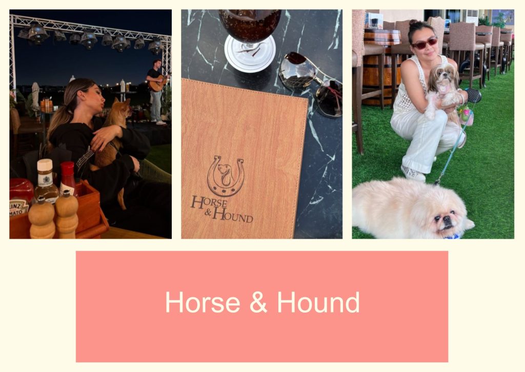 Horse & Hound