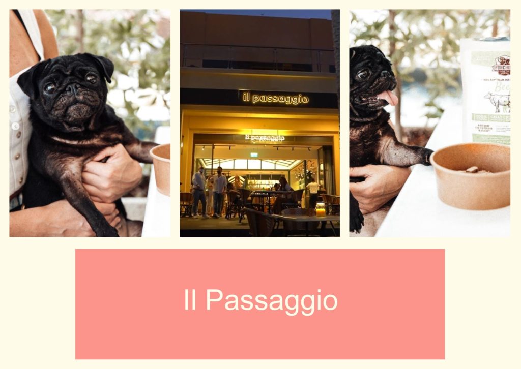 Il Passaggio