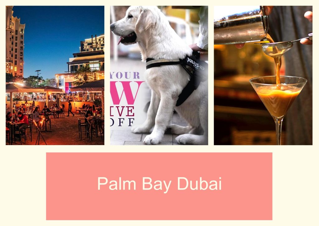 Palm Bay Dubai