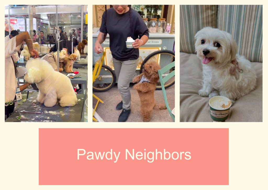Pawdy Neighbors
