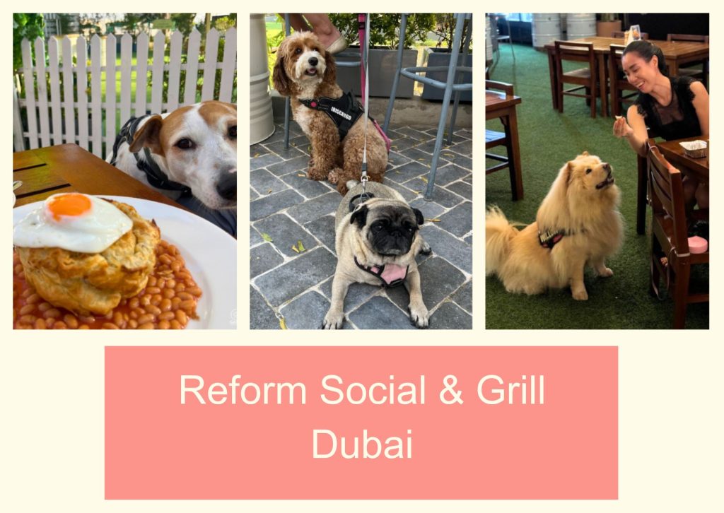 Reform Social & Grill Dubai