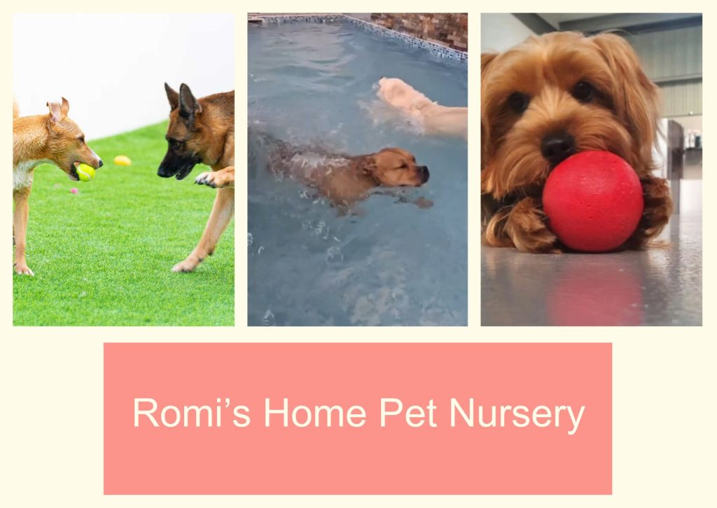Romi’s Home Pet Nursery