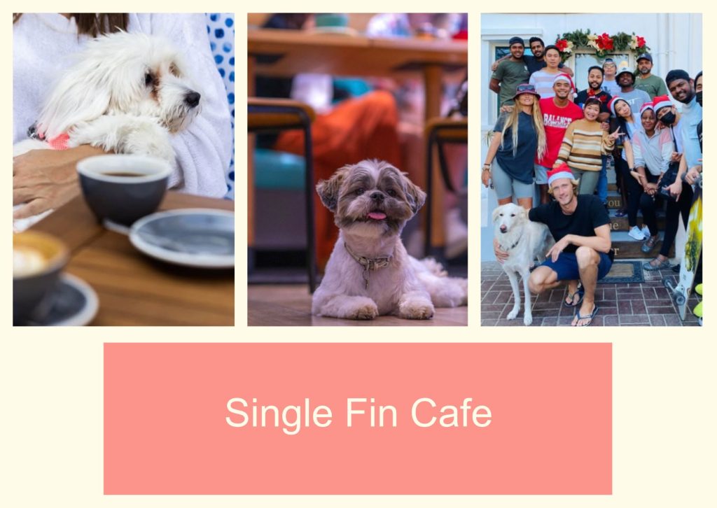 Single Fin Cafe