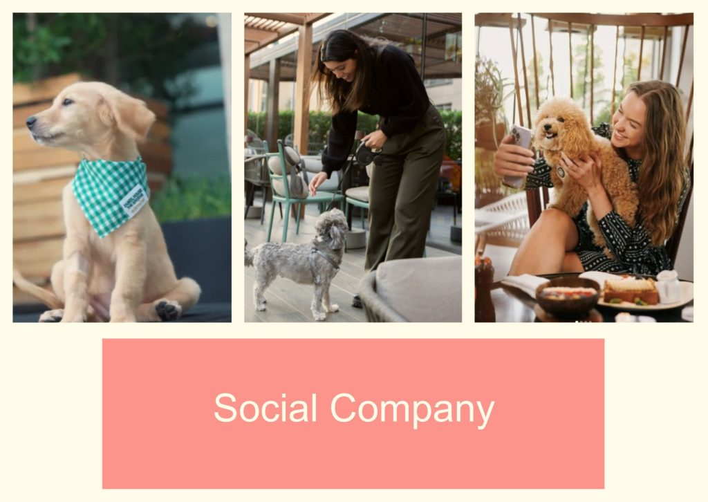 Social Company