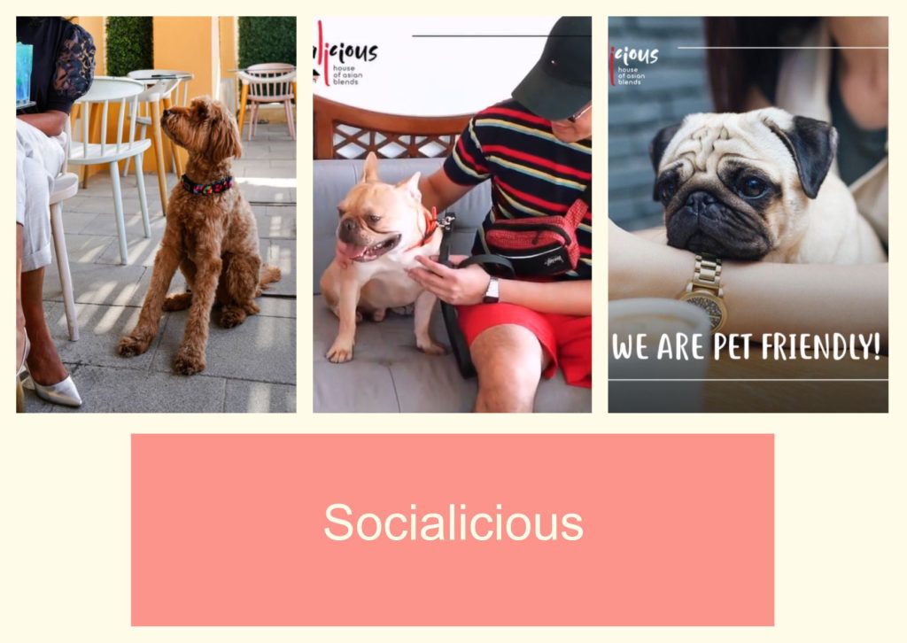 Socialicious