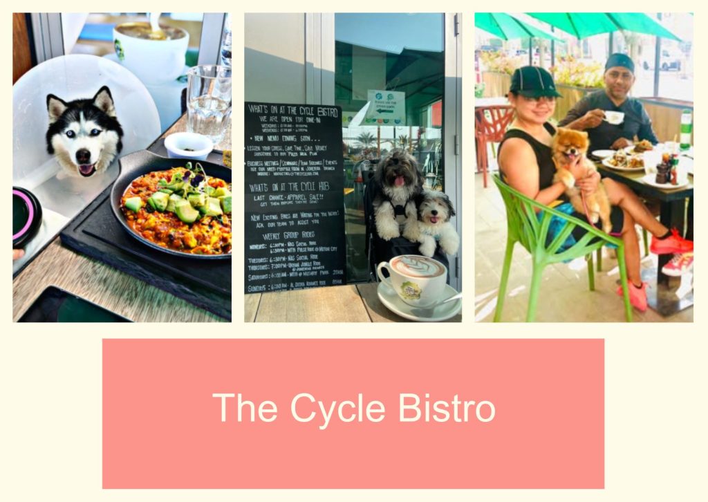 The Cycle Bistro