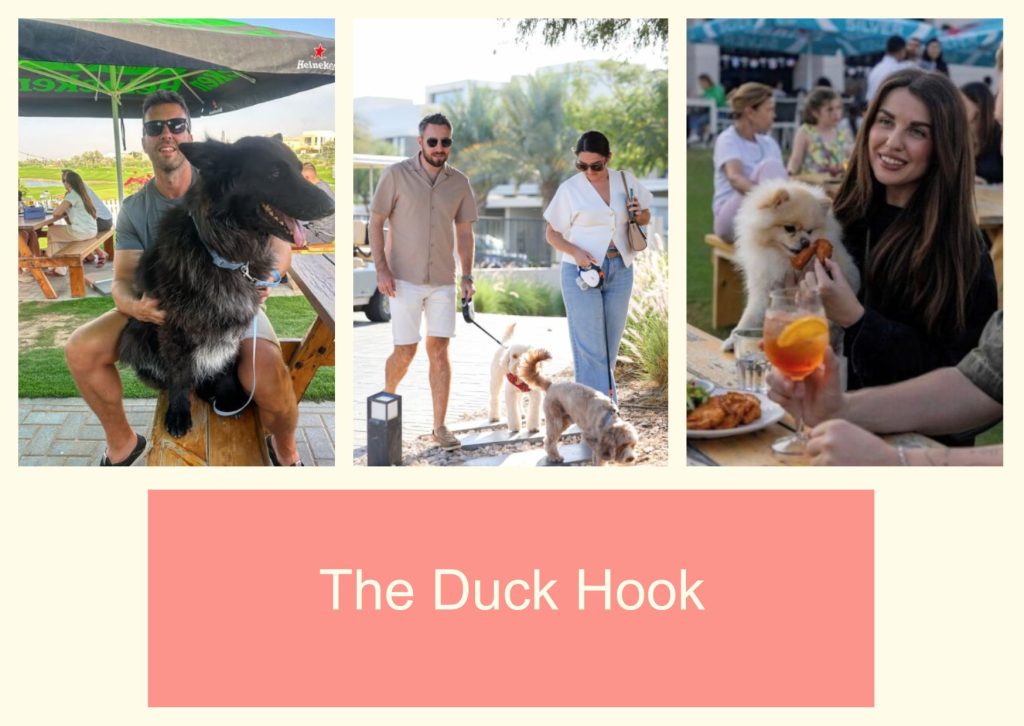 The Duck Hook