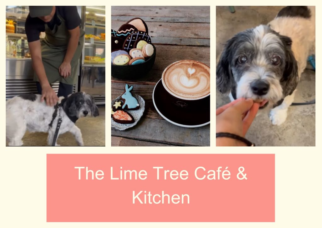 The Lime Tree Café & Kitchen