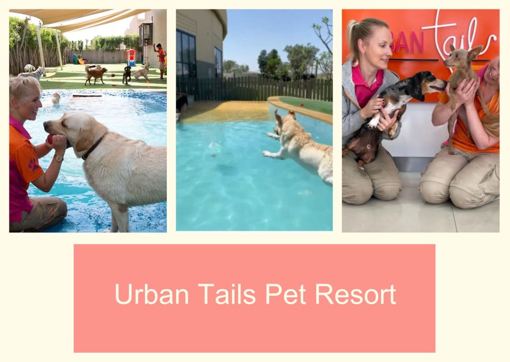 Urban Tails Pet Resort