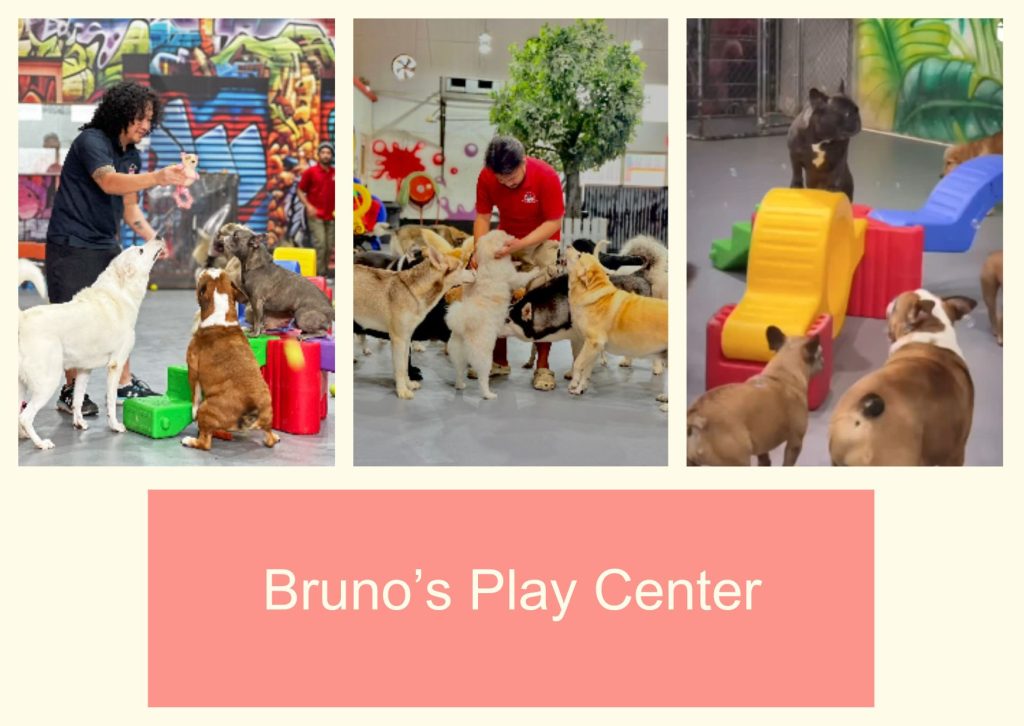 Bruno’s Play Center