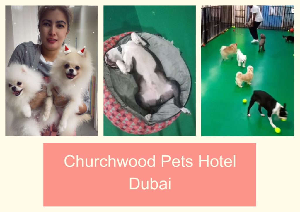 Churchwood Pets Hotel Dubai