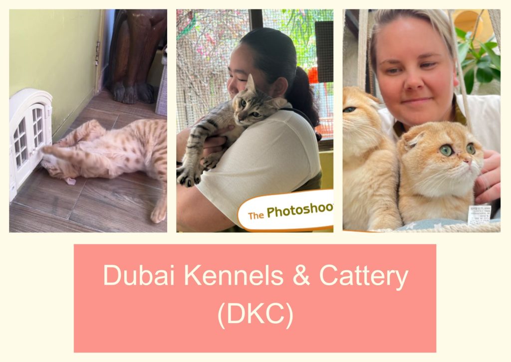 Dubai Kennels & Cattery (DKC)