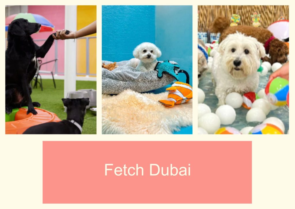 Fetch Dubai