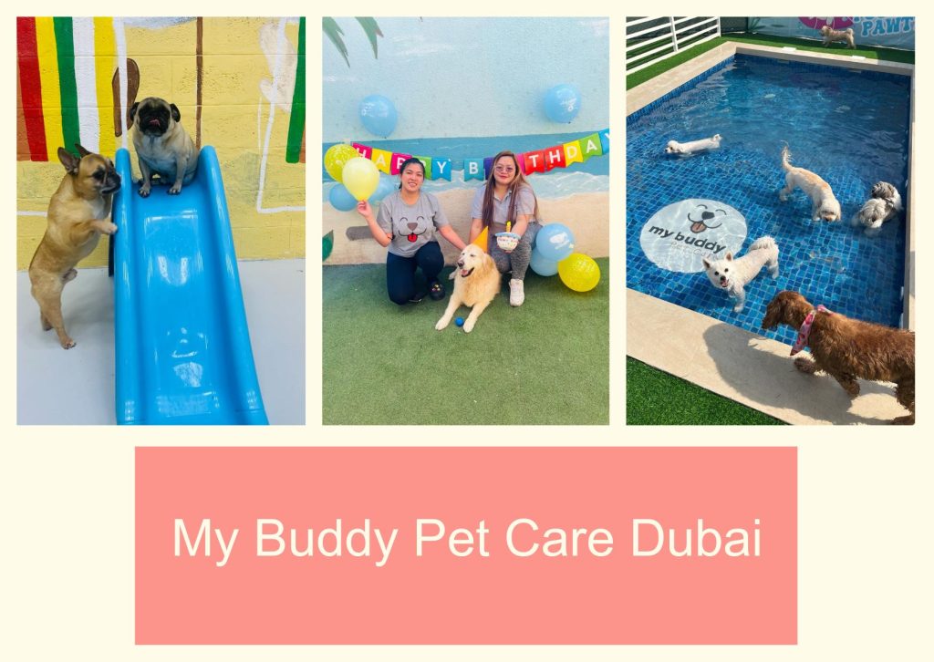 My Buddy Pet Care Dubai