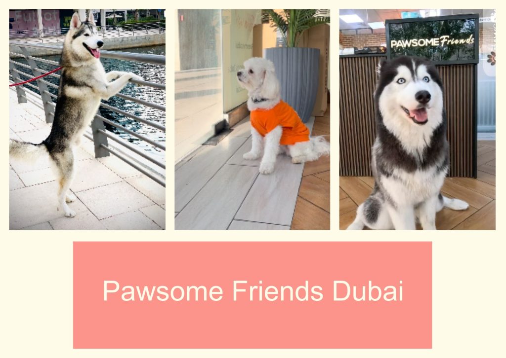 Pawsome Friends Dubai