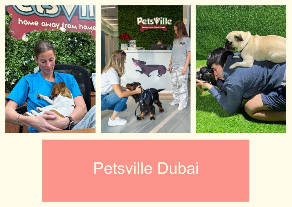 Petsville Dubai