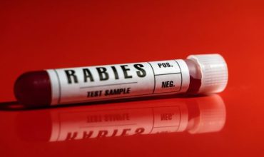 Rabies virus blood test sample tube close-up white label, red background
