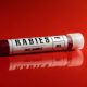 Rabies virus blood test sample tube close-up white label, red background