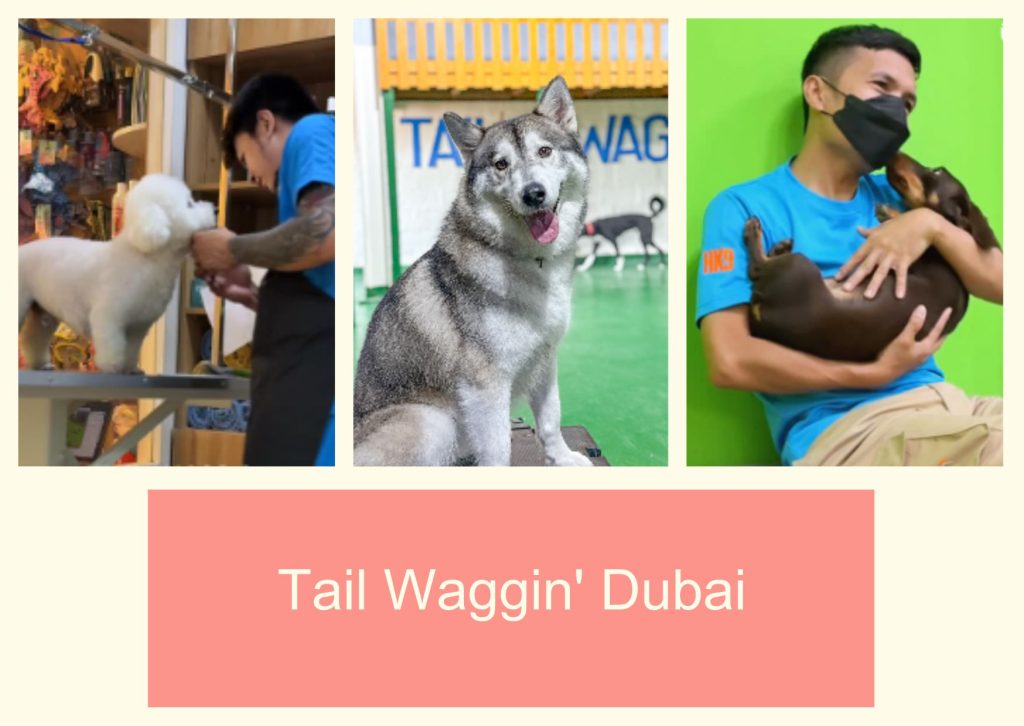 Tail Waggin' Dubai