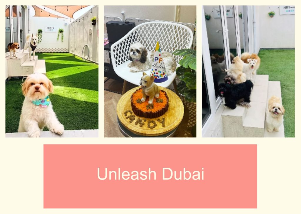 Unleash Dubai
