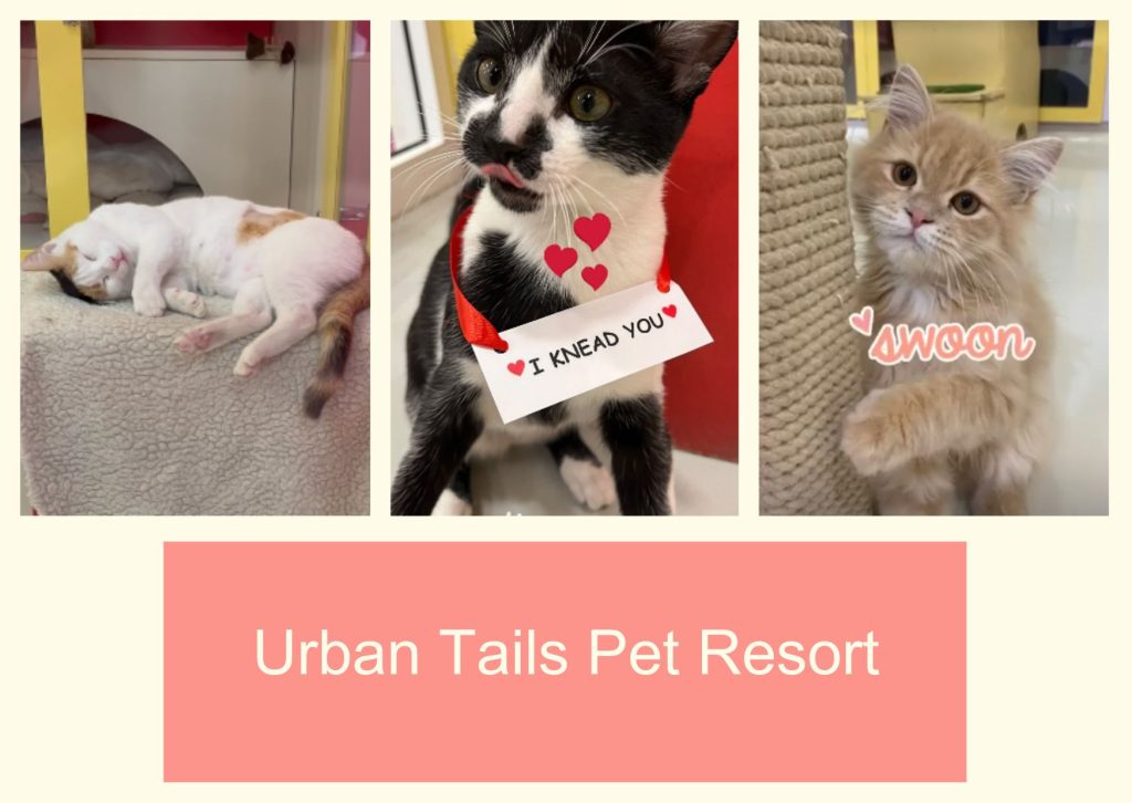 petpulse