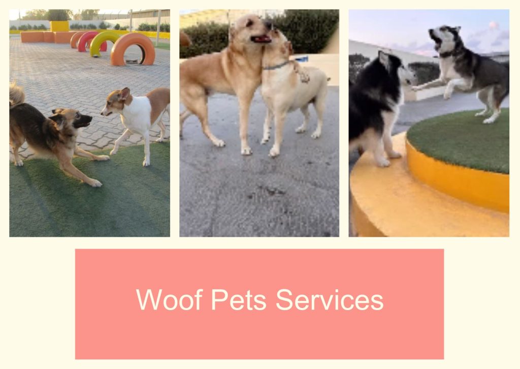 Woof Pets Services