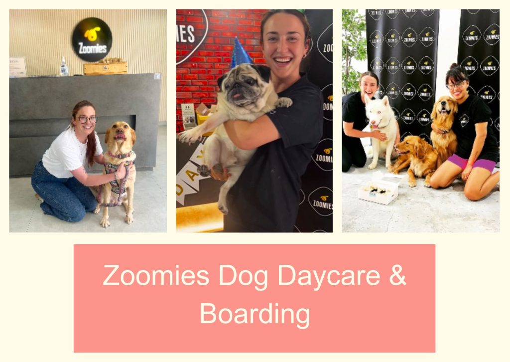 Zoomies Dog Daycare & Boarding
