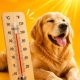 petpulse