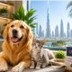 petpulse