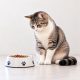 petpulse
