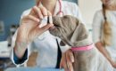 Deworming Deworming